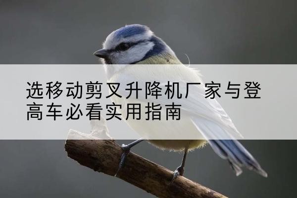 船营电动升降机厂家-选移动剪叉升降机厂家与登高车必看实用指南