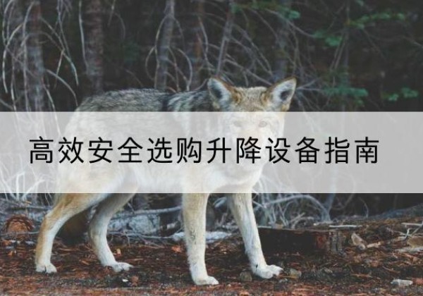 船营升降货梯厂家推荐-*安全选购升降设备指南